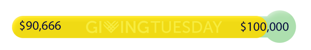 Giving Tuesday progress bar with 90% filled up yellow on green background. Left side reads "$90,666" right side reads "$100,000" 
