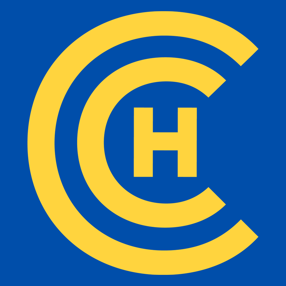 Chicago Coalition to end Homelessness logo