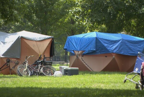 2 large tents covered in tarps in a park. Bikes and other items are around them.