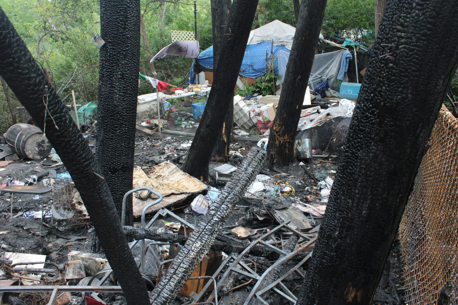 Debris in a wooded area with a tent and bushes visible in the background